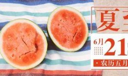 免费网红吃瓜公众号,免费公众号背后的秘密大曝光！